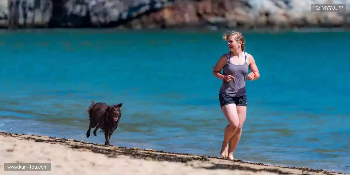 球迷专属，把热爱穿在身上！👕💪